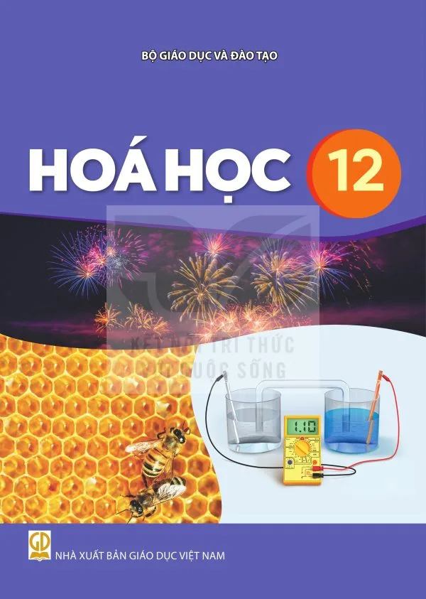 LỊCH SỬ 9