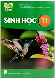 CÔNG NGHỆ 6